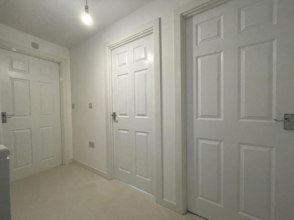 Img 3695.jpg