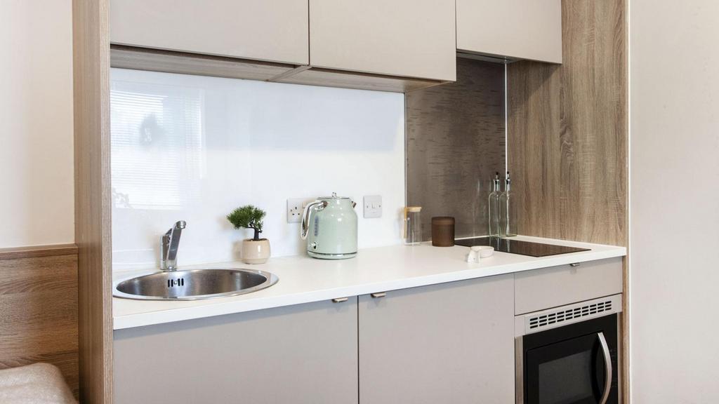 Apartment in Reading, Reading Town Centre, Coley - View 4