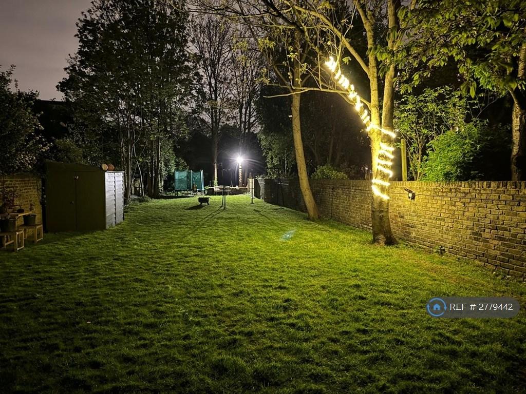 Garden At Night