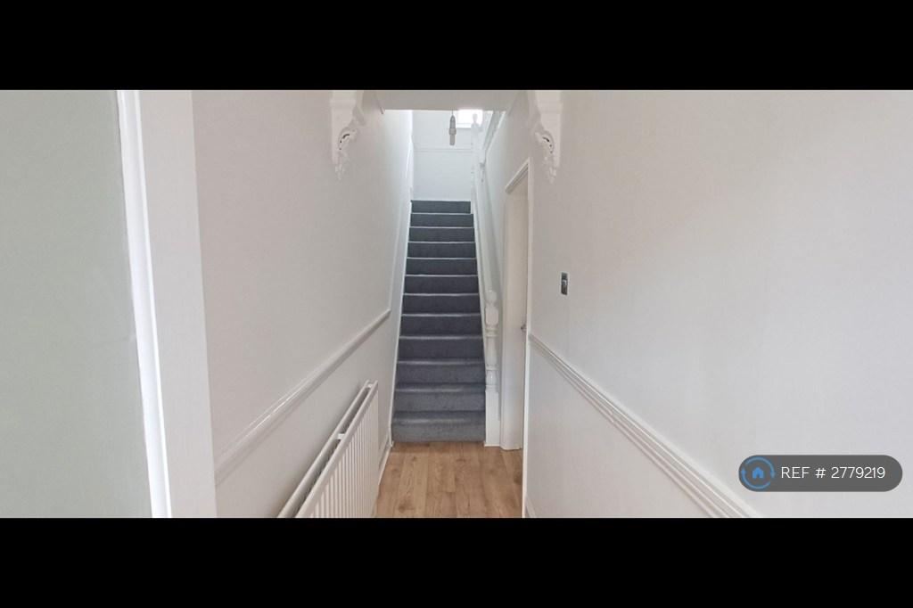 Downstairs Hallway