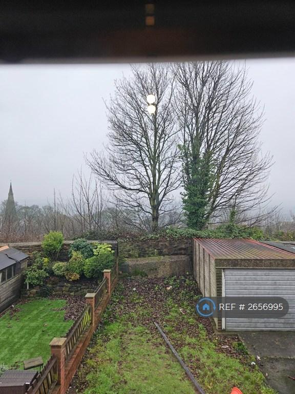 Back Garden