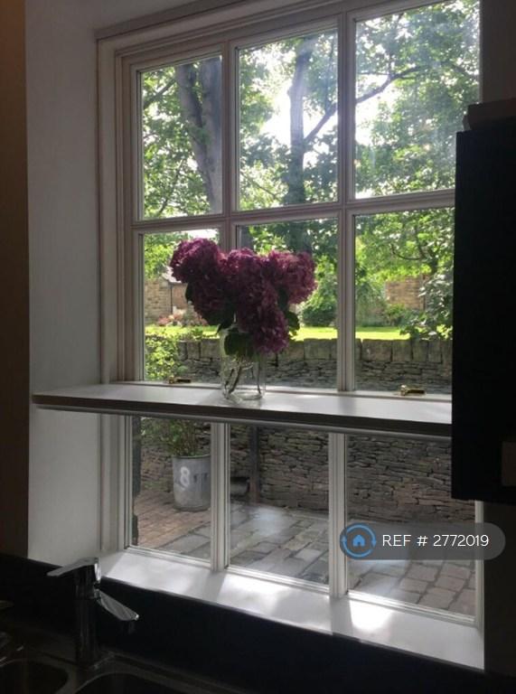 Kitchen Window