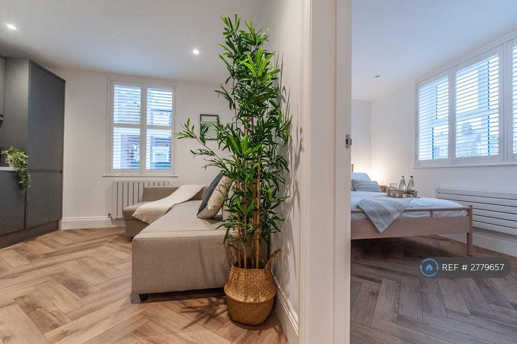 Living Room / Bedroom