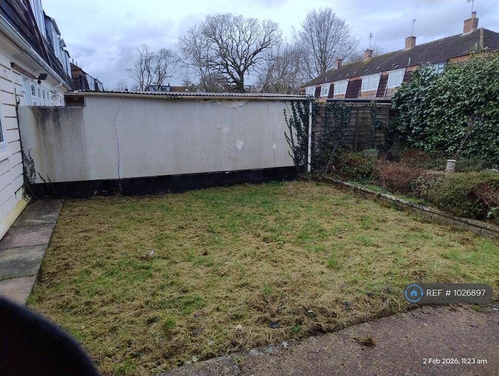 Back Garden