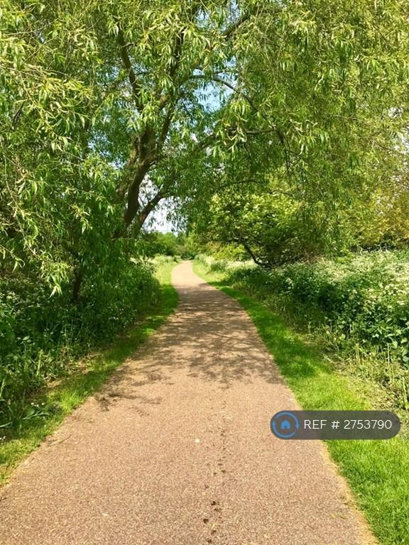 Tottenham Marshes