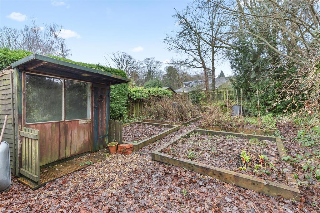 IMG 0107.jpg