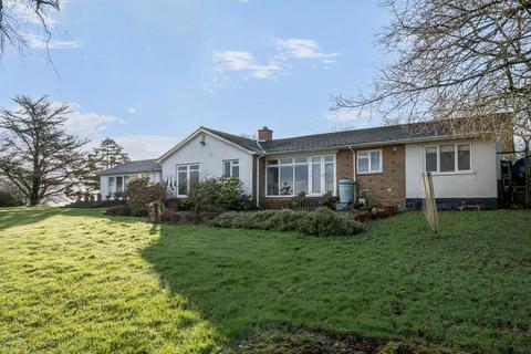 undefined, Whitestone, Exeter