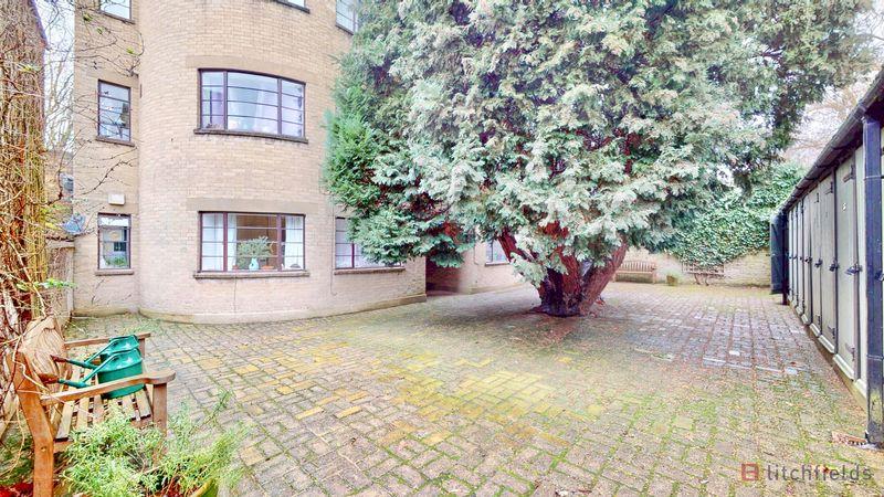 Rear Courtyard