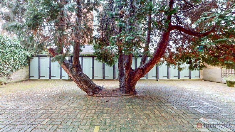 Rear courtyard