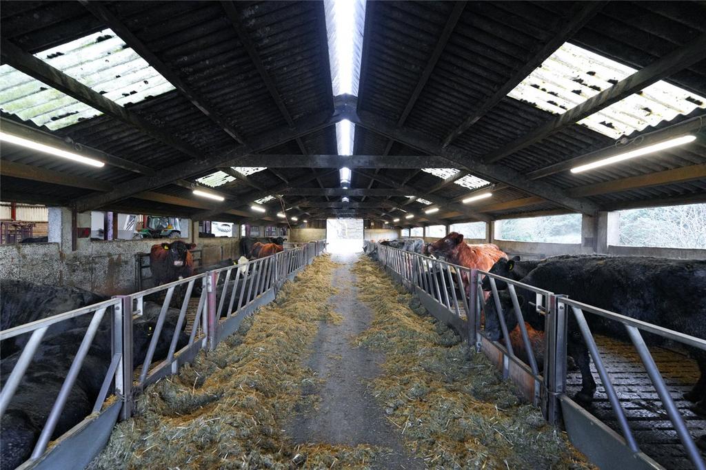 Slatted Shed