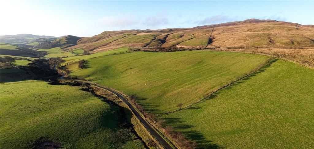 Aerial Photograph