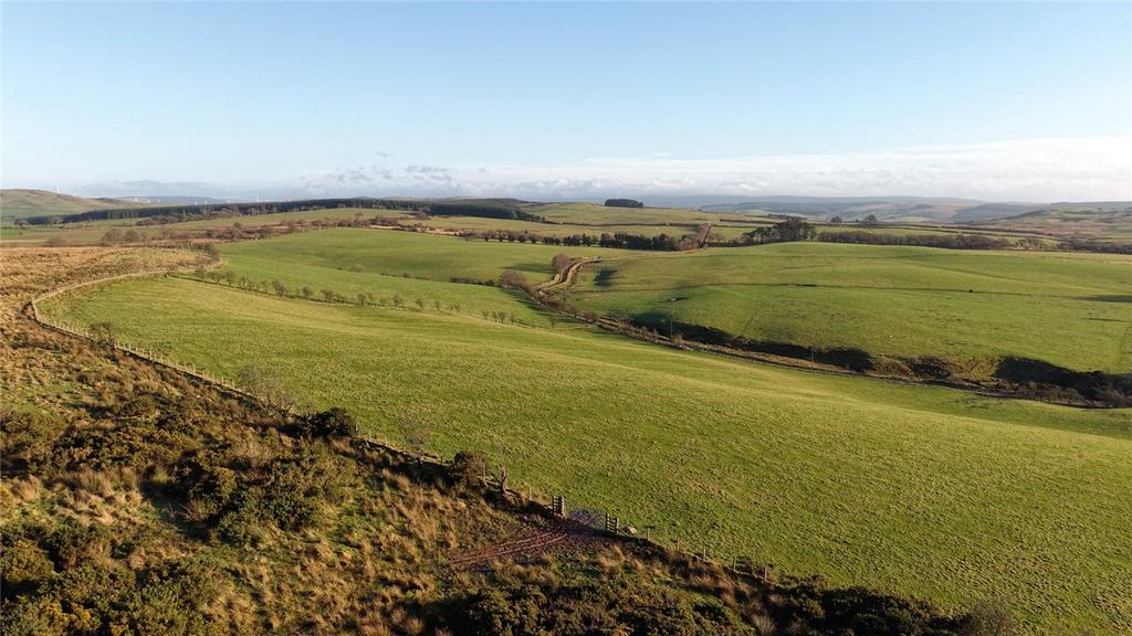 Aerial Photograph