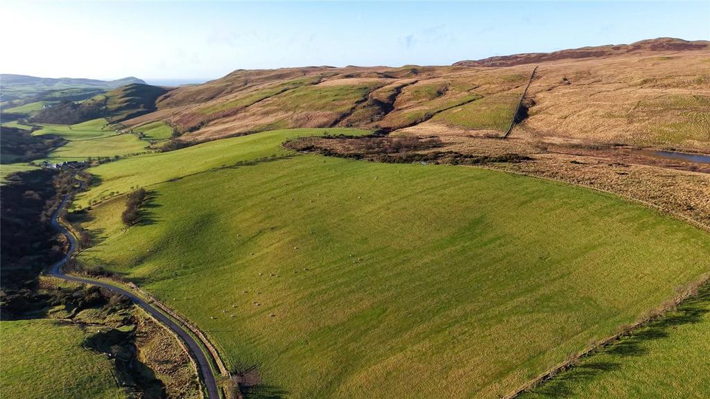 Aerial Photograph