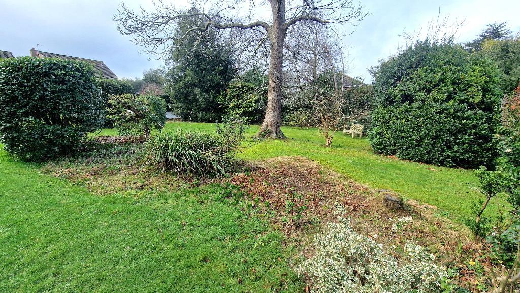 Communal Garden