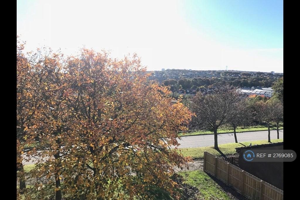 View From Livingroom