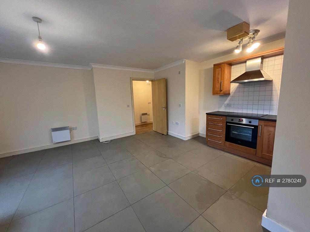 Open Kitchen/Living