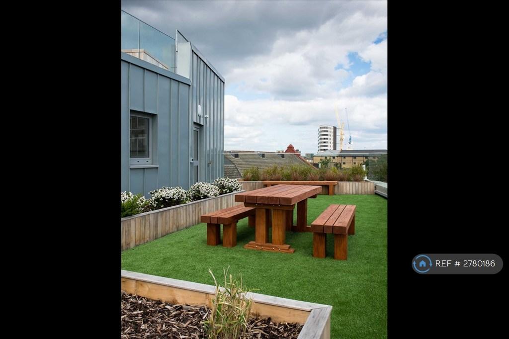 Roof Terrace