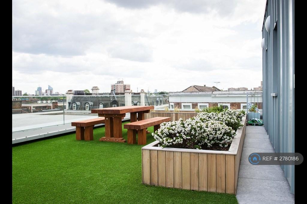 Roof Terrace