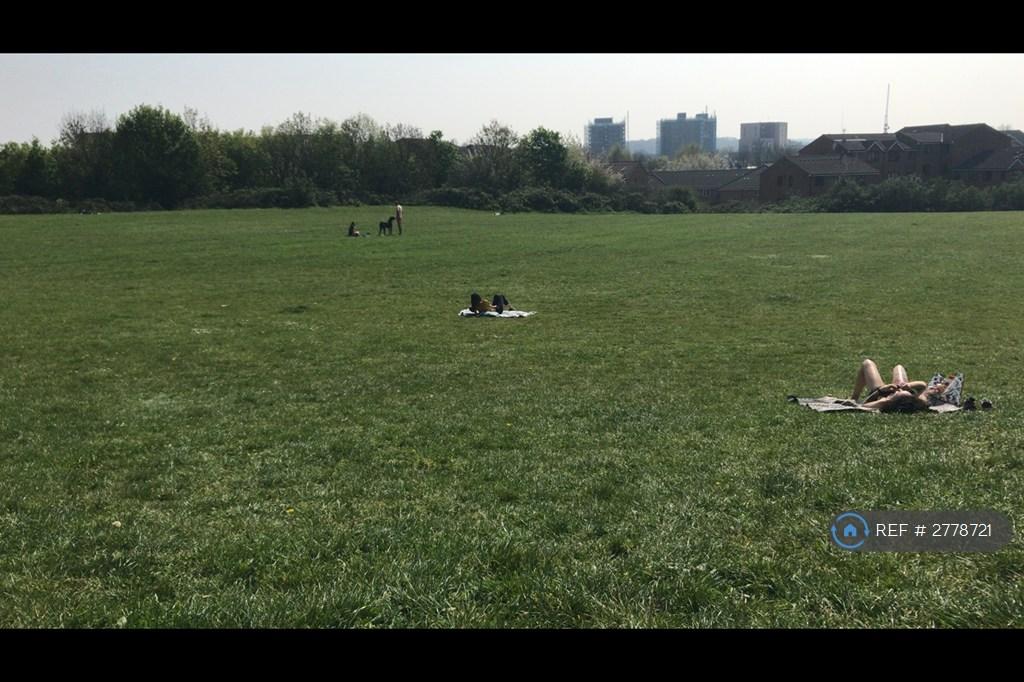 Green Space Right Behind Flat
