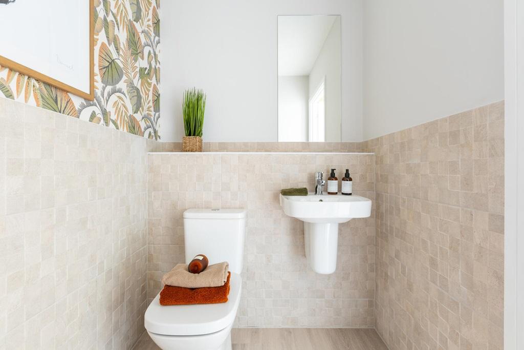 Handy downstairs toilet