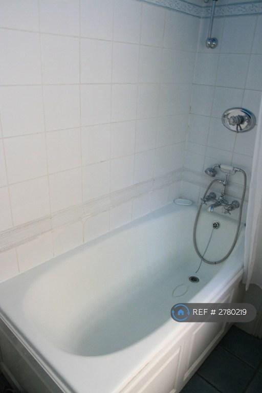 Bathroom (Downstairs)