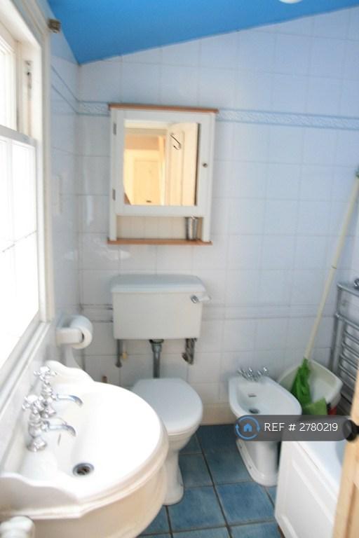 Bathroom (Downstairs)