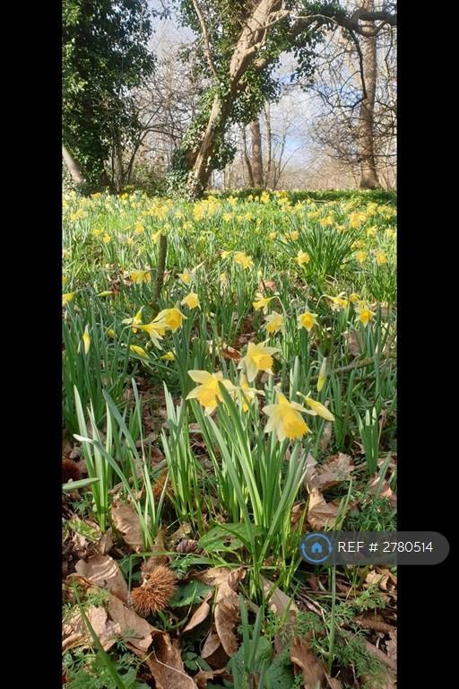 Long Wooded Walks Is Only a 5 Min Walk Away