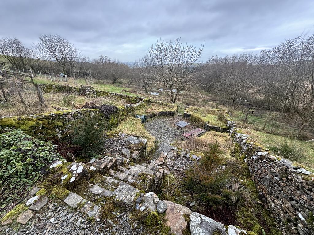 Garden (second image)