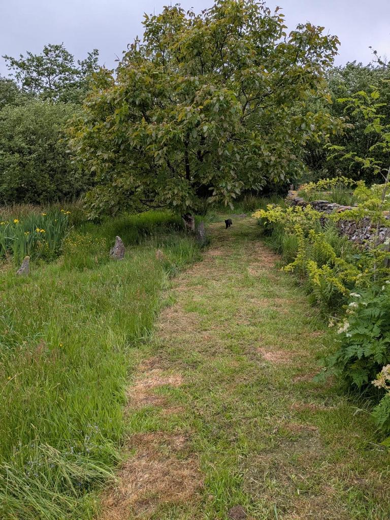 Garden (fourth image)