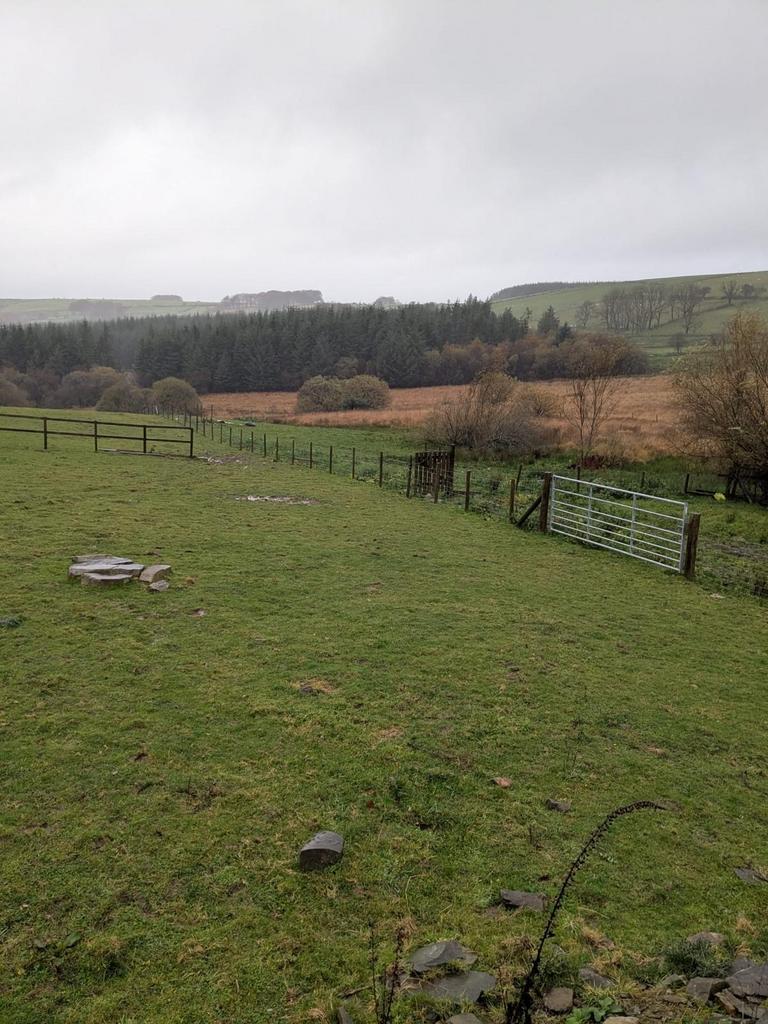 Land (fourth image)