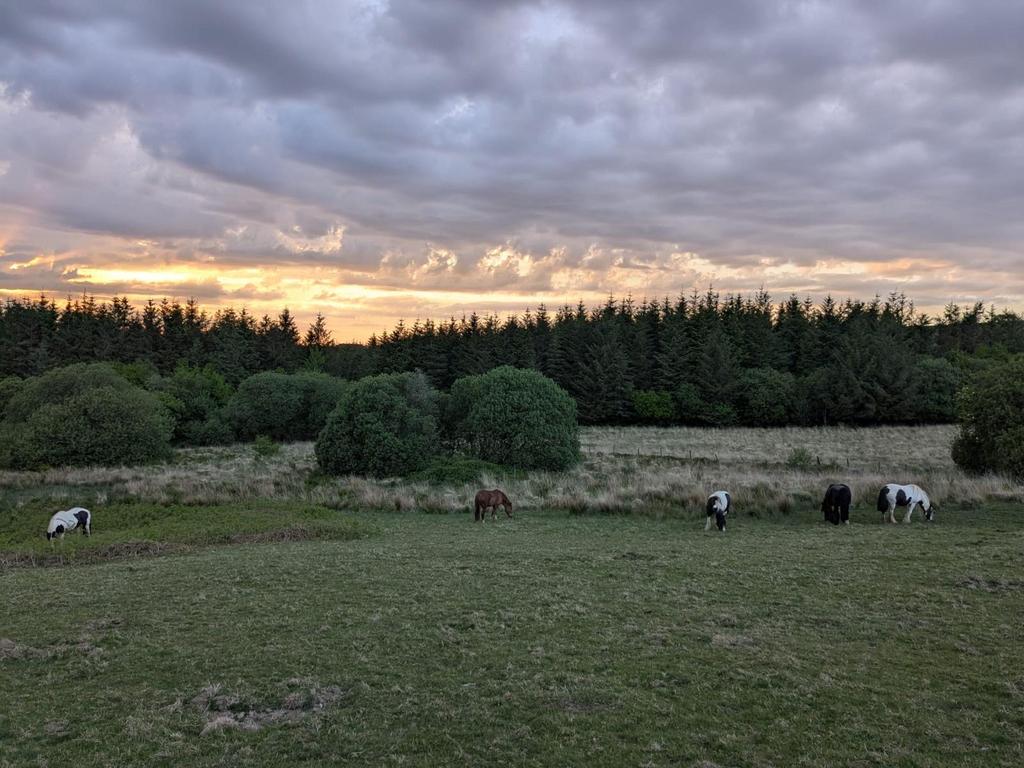 Land (fifth image)