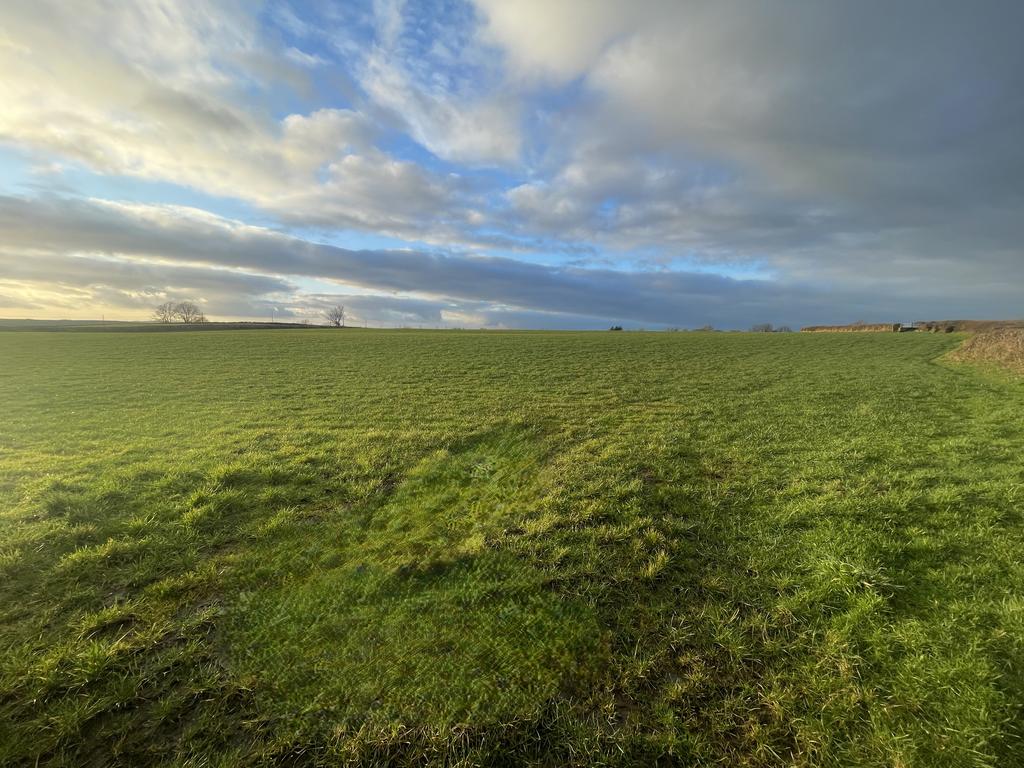 Land