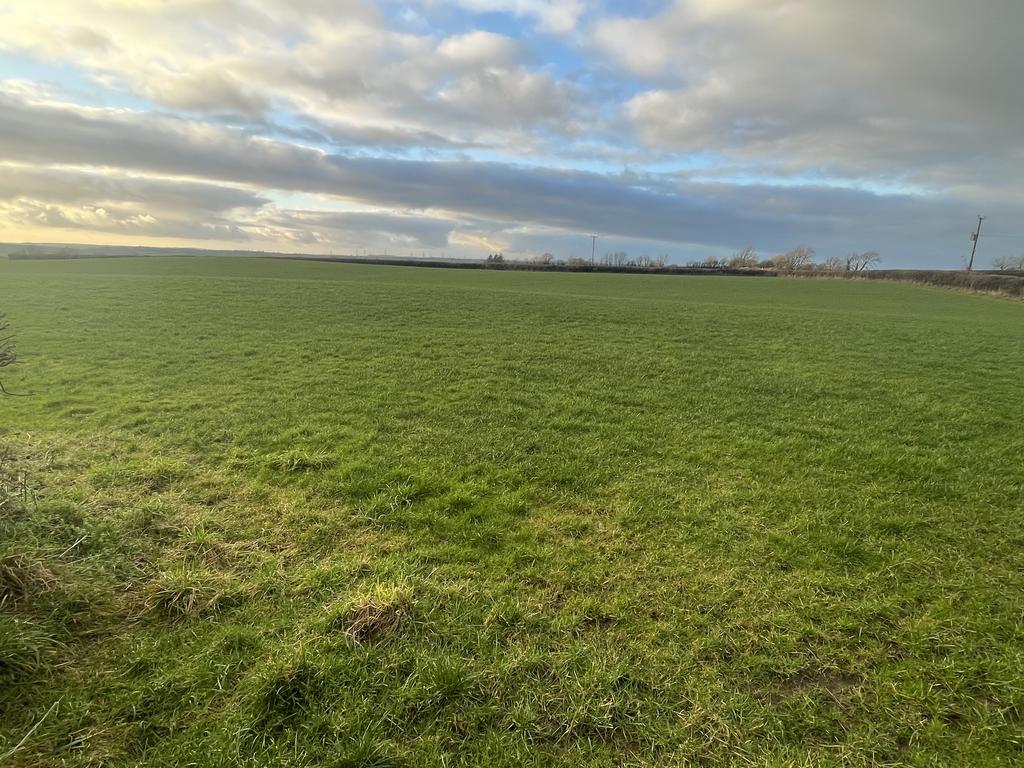 Land