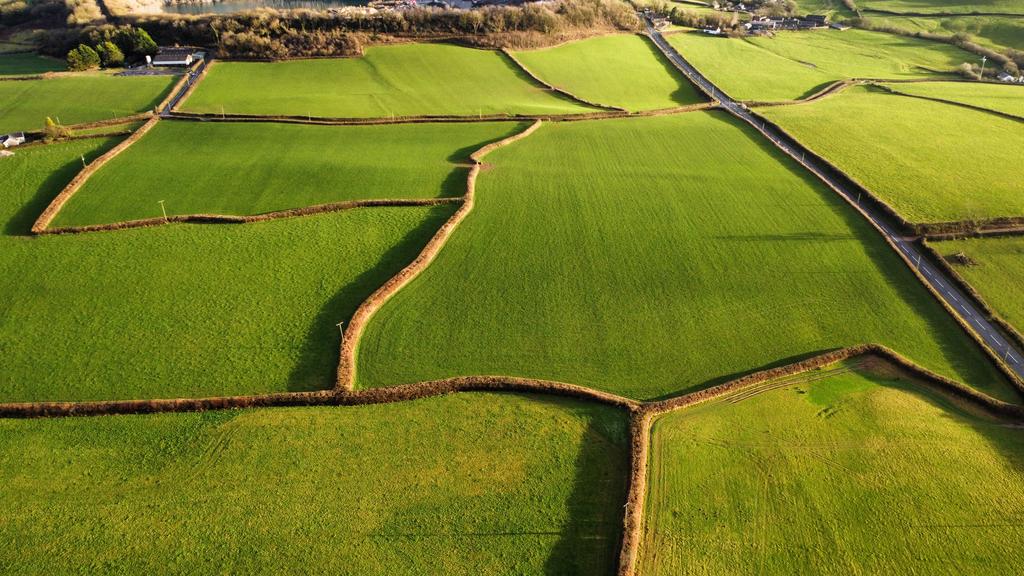 Land
