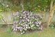 Additional image 24 of Hayes Road, Bromley, BR2