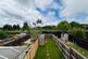 SPEEDWELL WAY, THATCHAM RG18