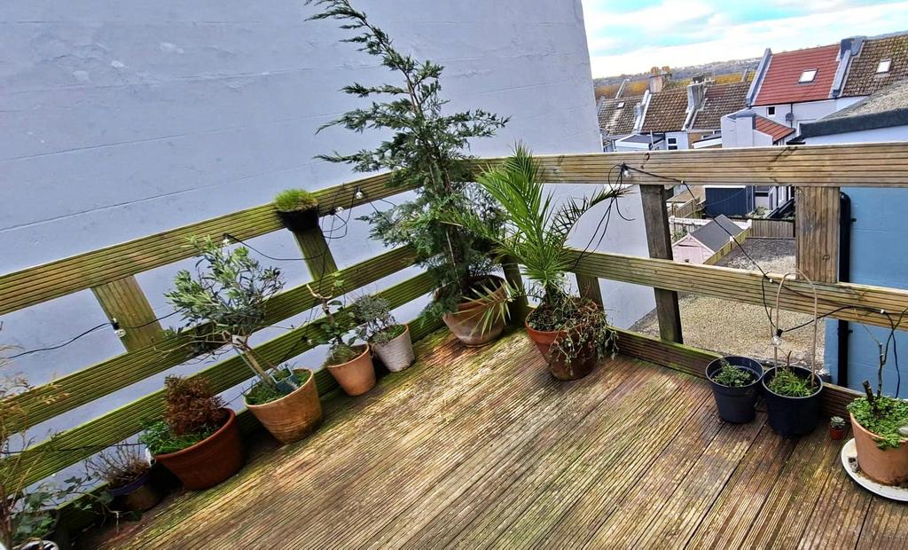 Picture No. 25