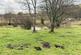Additional image 44 of Rhosygell, Devils Bridge, Aberystwyth