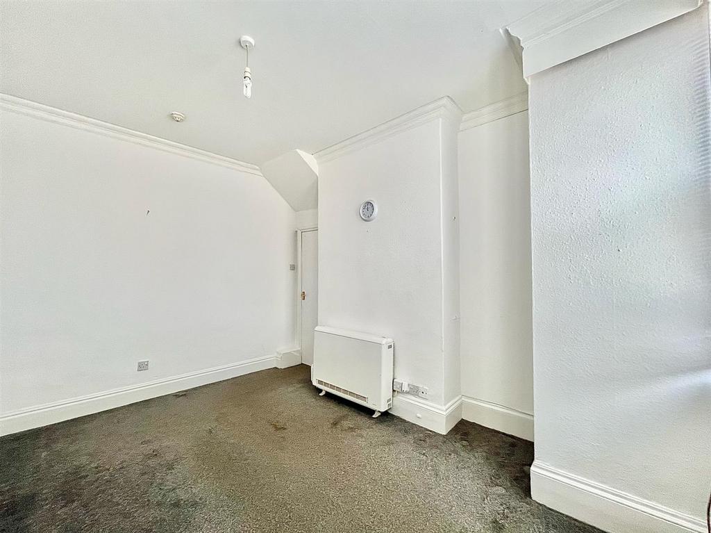 Combined Living Room/Bedroom