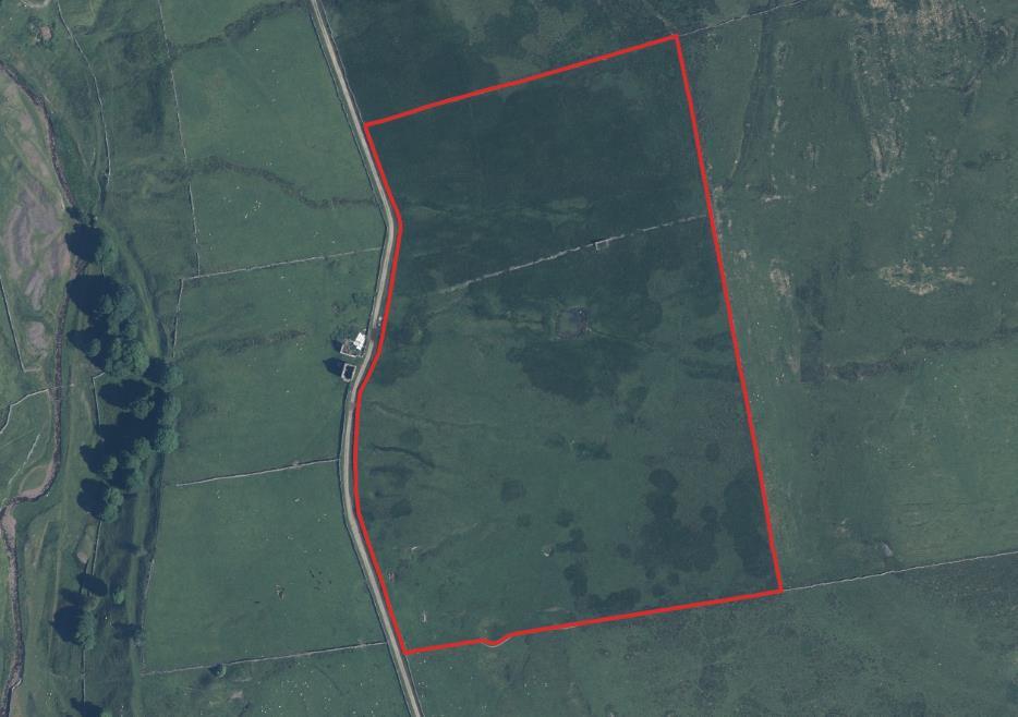 Lot 1