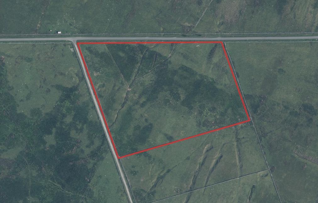 Lot 3