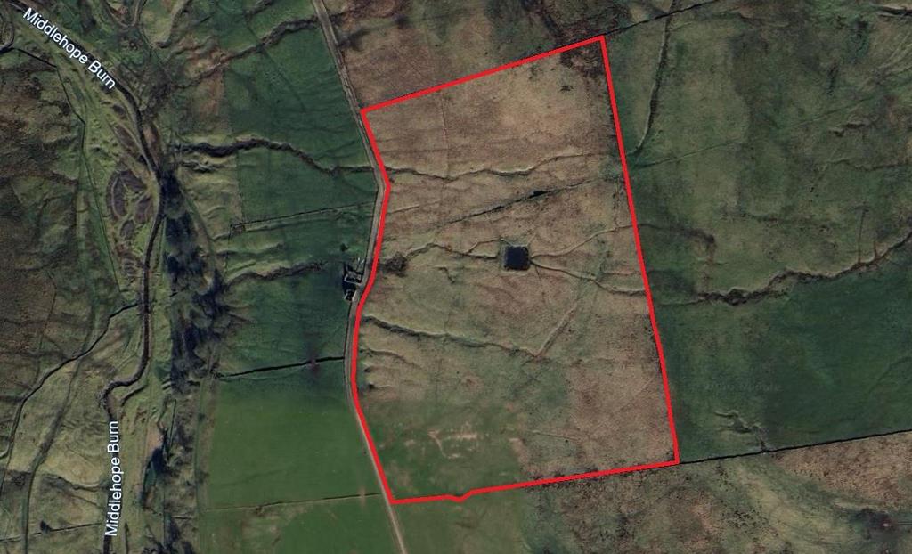 Lot 1