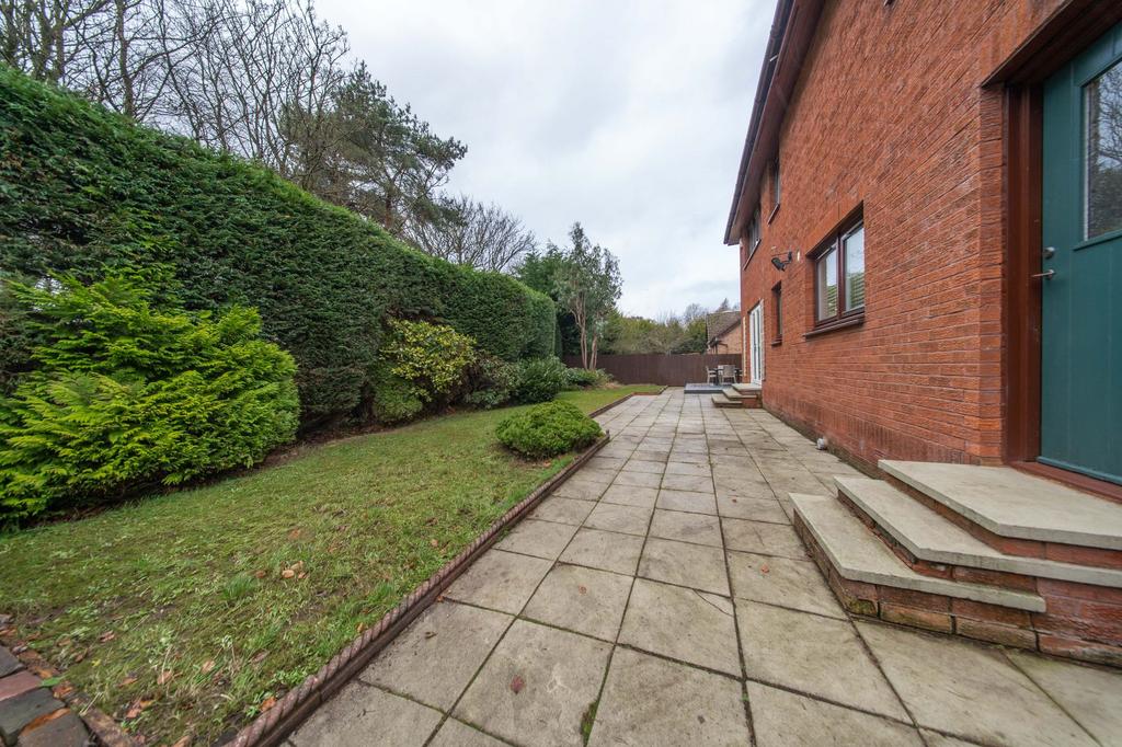Back Garden