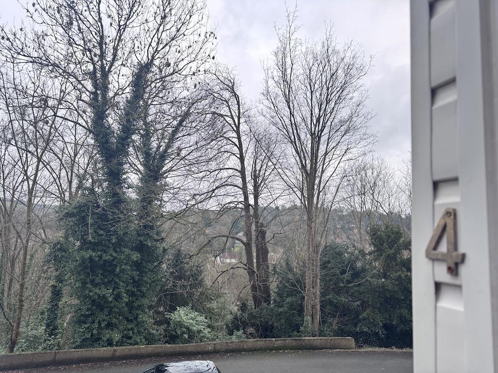 5 - View from Porch.jpg