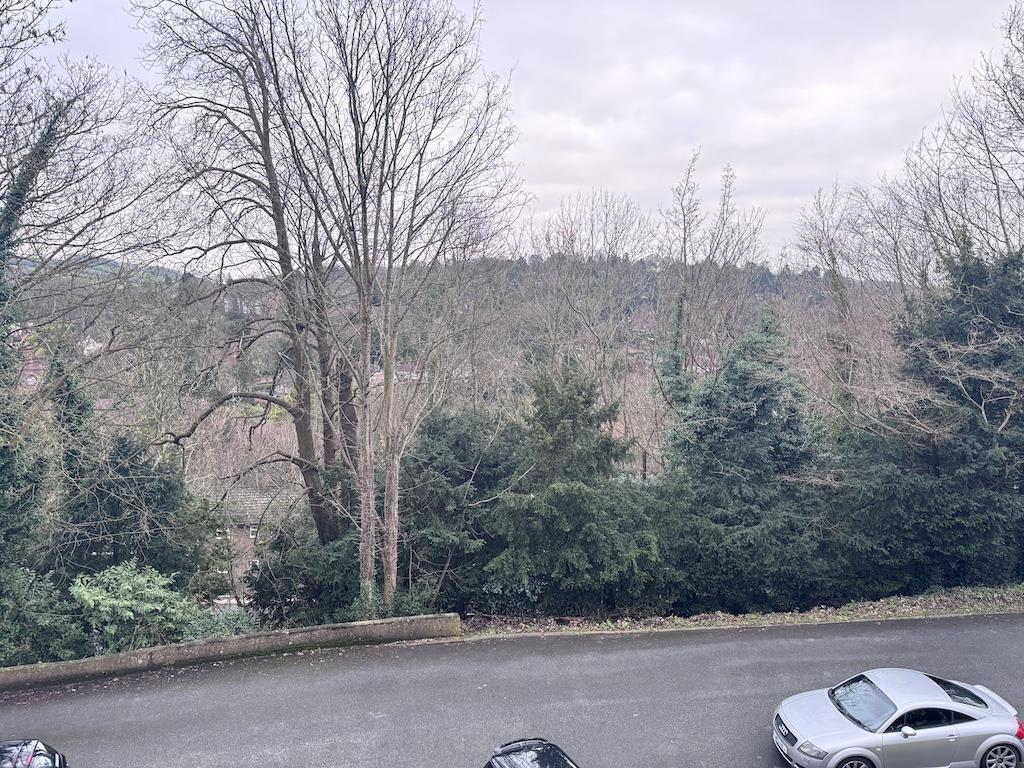 21 - Views across Caterham.jpg
