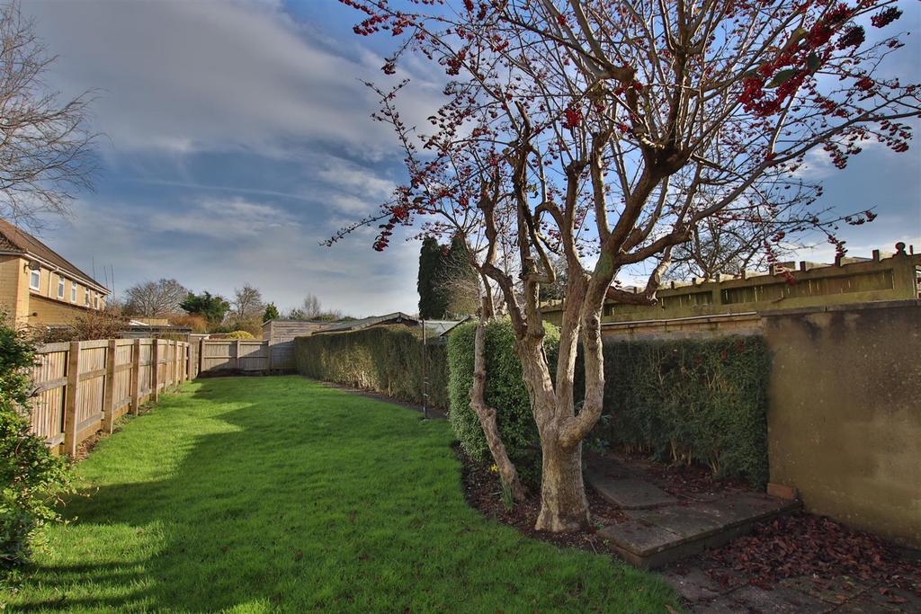 Garden.JPG