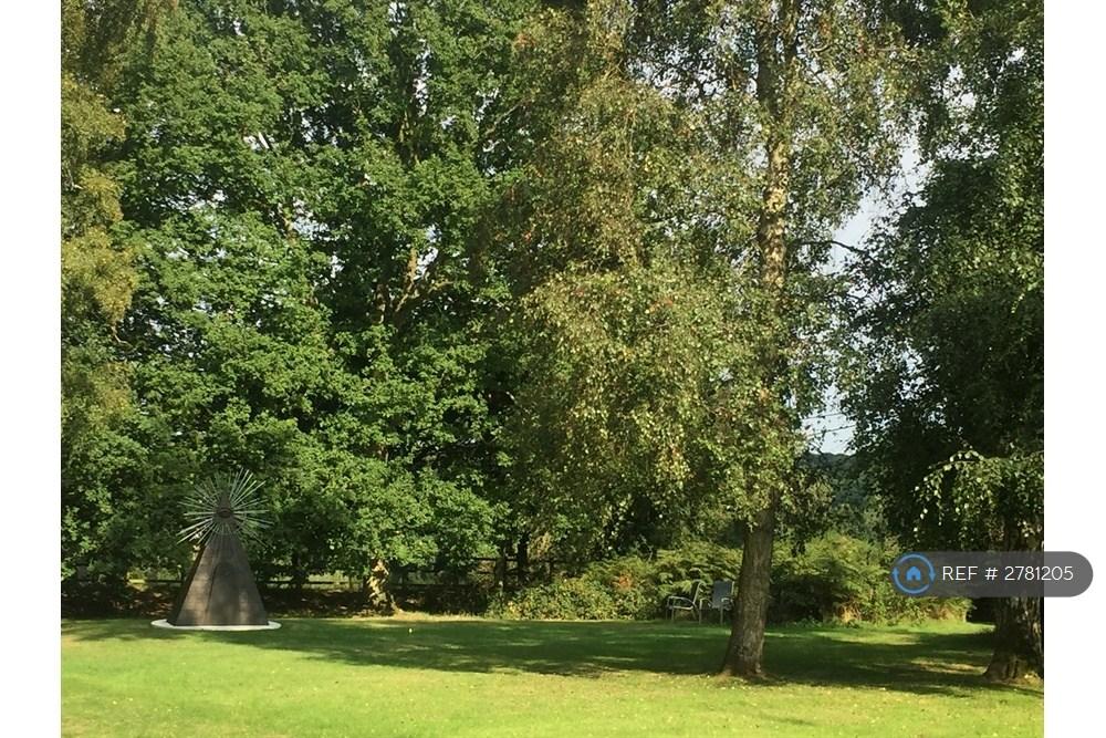 Shared Garden