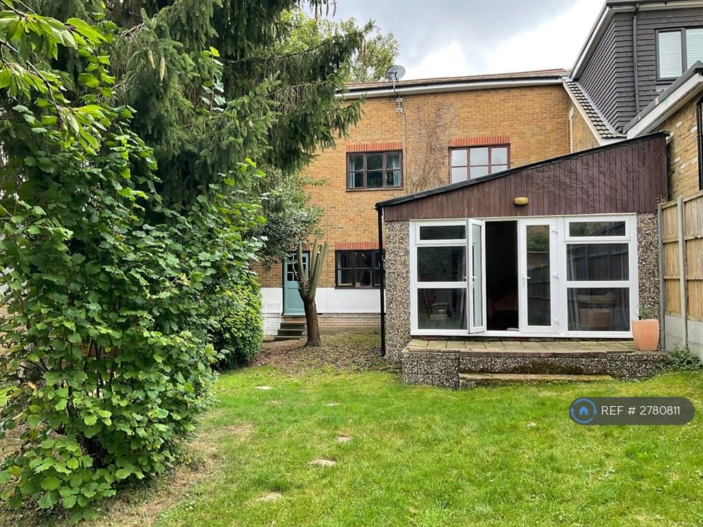 Back Garden