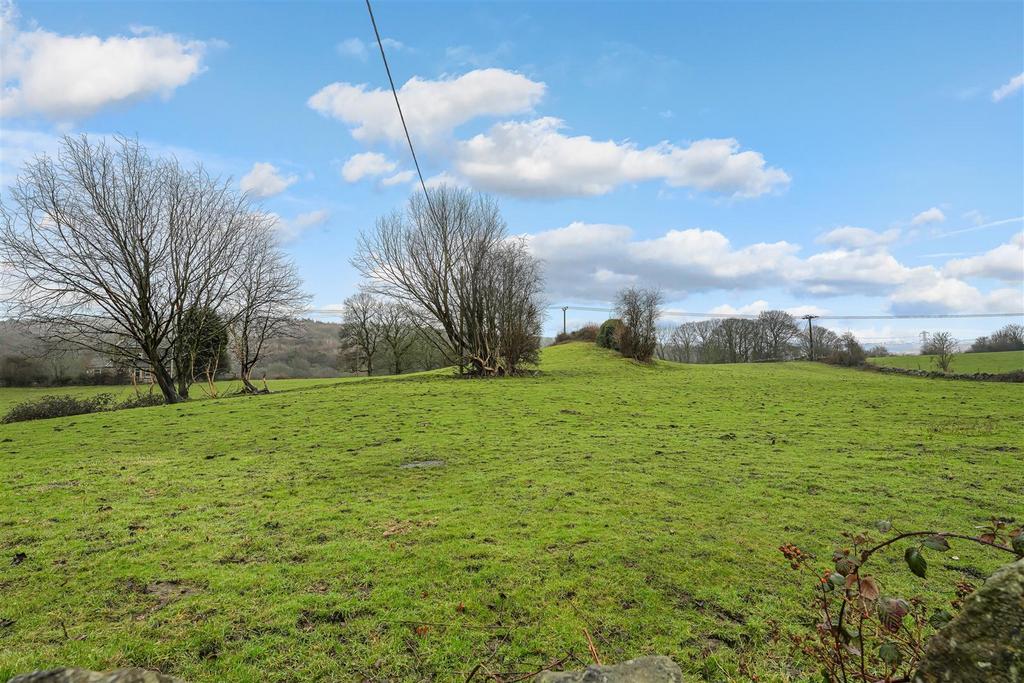Open fields