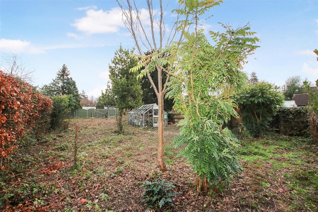 Garden dp.JPG